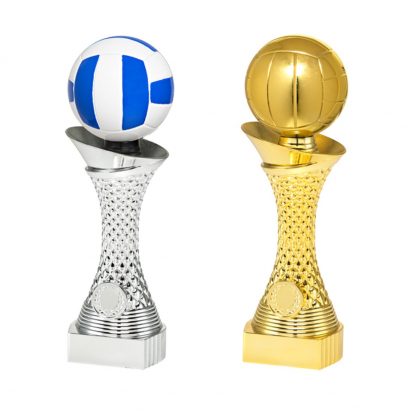 Volleybal sportprijzen