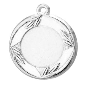 1M300 Zilveren Medaille