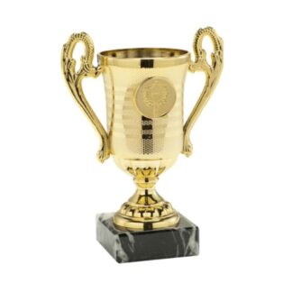 B030D Gouden Sportbeker met oren