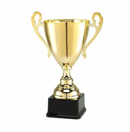 LT056 Gouden luxe Trofee