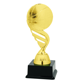 BF001N Basketbal standaard goud