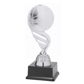 BF001N Basketbal standaard zilver