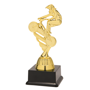 BF001N Fietscross standaard goud