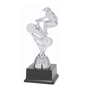 BF001N Fietscross standaard zilver