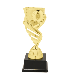 BF001N Handbal gouden standaard