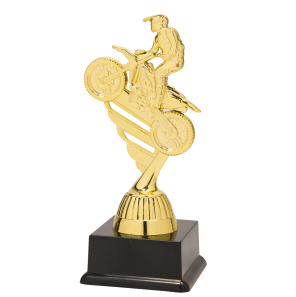 BF001N Motorcross standaard goud