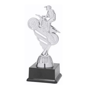 BF001N Motorcross standaard zilver