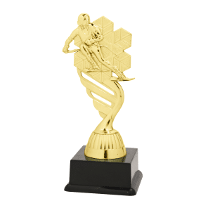 BF001N Skiën standaard goud