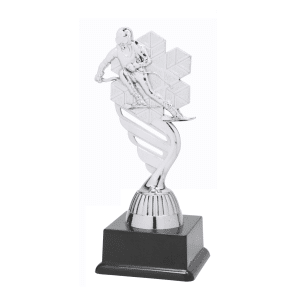 BF001N Skiën standaard zilver