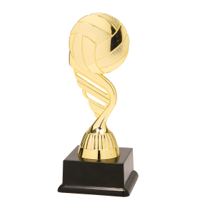 BF001N Volleybal standaard goud