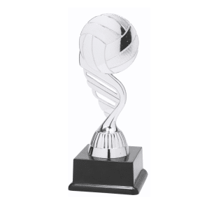 BF001N Volleybal standaard zilver