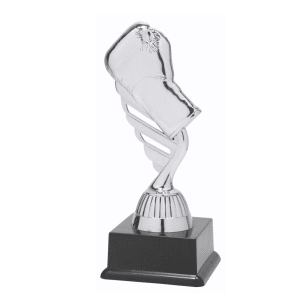 BF001N Boks standaard zilver